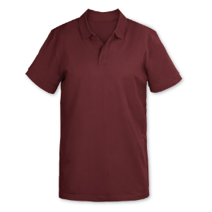 Polo - Image 2