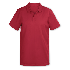 Polo - Image 3